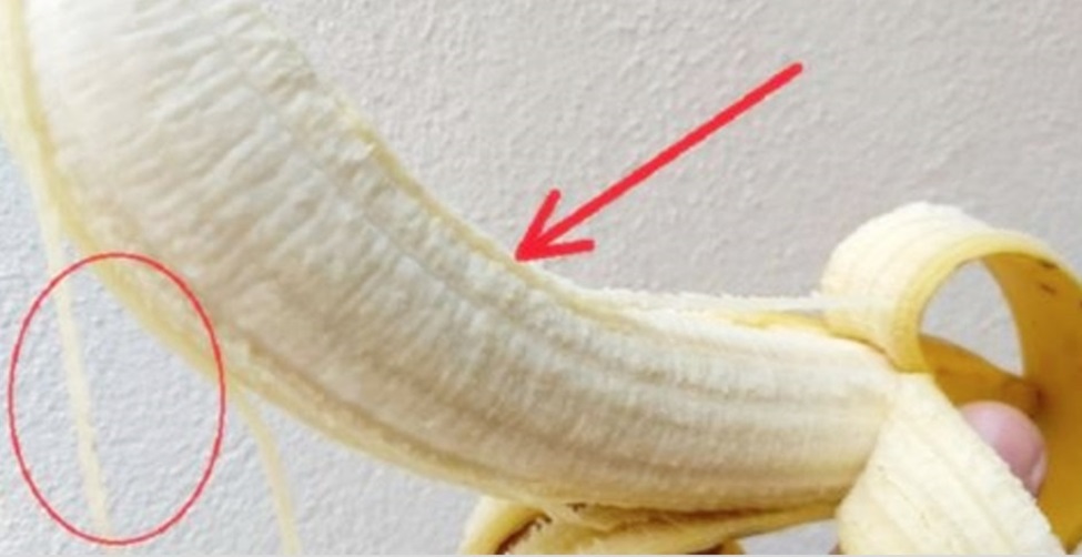 função dos fios brancos da banana