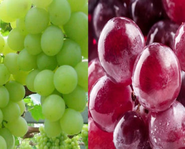 Benefícios da uva para a saúde