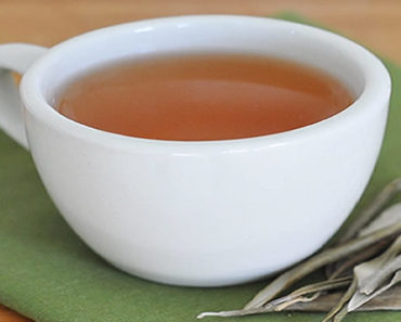 benefícios do chá de oliveira
