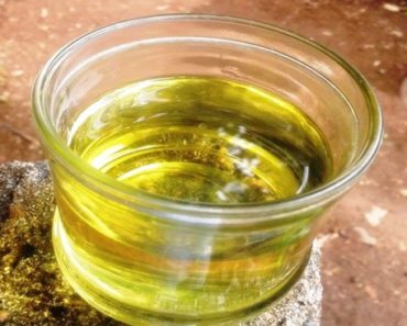 Benefícios do óleo de copaíba