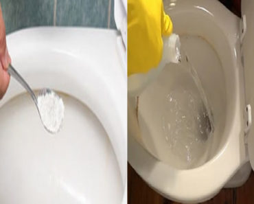 solução limpa tudo para vaso sanitário