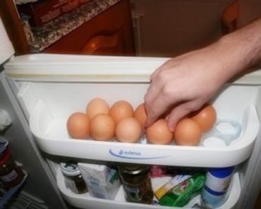 ovos na geladeira