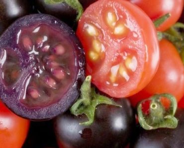 identificar se o tomate tem veneno