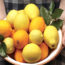 benefícios-do-Limão-Siciliano