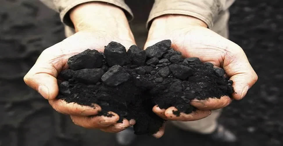 Carvão Vegetal Ativado