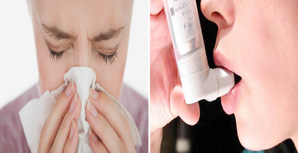 Remédios Caseiro Para Alergia Respiratória 