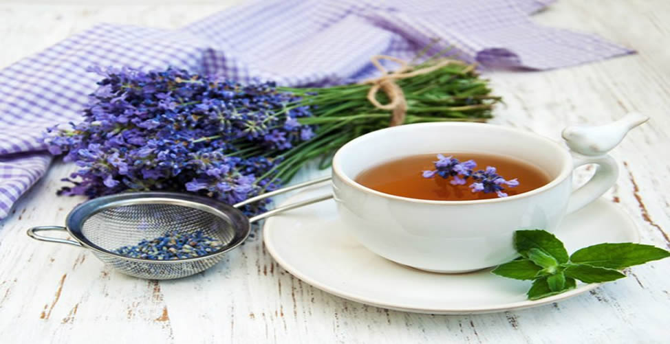 Benefícios do chá de Alfazema